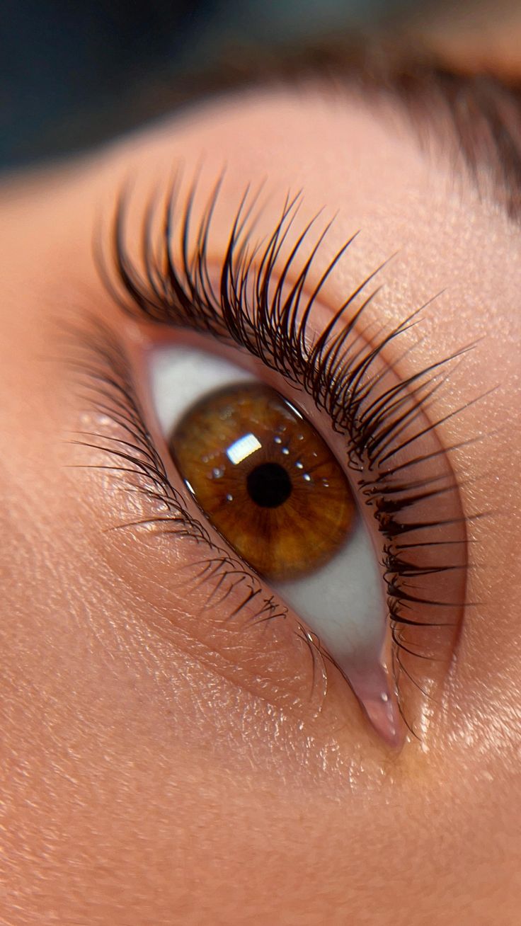 Formação LASH Lifting